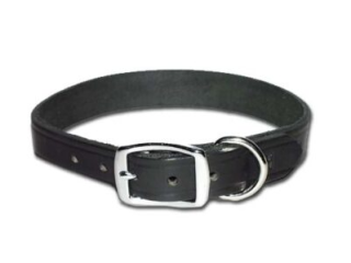 Adjustable Dog Collars