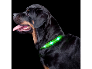 Benefits of Rechargeable Waterproof LED Collars