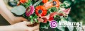 online-wholesale-florist-for-any-events-flower-marketplace-small-1