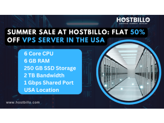 Summer Sale at Hostbillo: Flat 50% off VPS Server in the USA