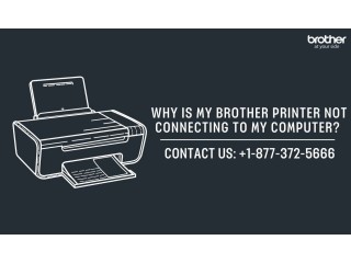 +1-877-372-5666 | Why Is My Brother Printer Not Connecting To My Computer? | Brother Printer Support
