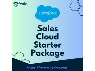 Salesforce Sales Cloud Services by FEXLE