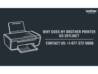 +1-877-372-5666 | Why Does My Brother Printer Go Offline? | Brother Printer Support