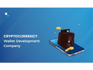 Discovering the Customization Options Offered by Cryptocurrency Wallet Development Company