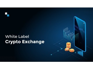 Launch a Feature-Rich White Label Crypto Exchange that Supports