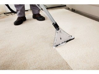 All American carpet cleaning : aacc-fl