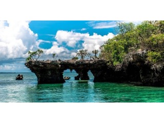Experience Affordable Zanzibar Safari Tour Package