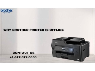 +1-877-372-5666 | Why Brother Printer Is Offline | Brother Printer Support