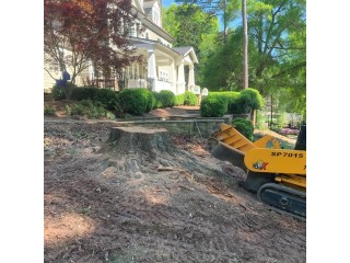 Affordable Stump Removal Solutions in Sandy Springs