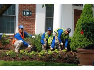 Pittsburgh Landscaping Companies