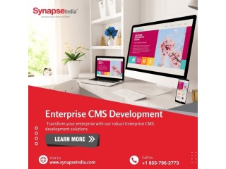 Expert Enterprise CMS Development Solutions for Your Business Needs
