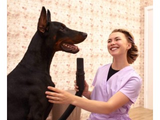 How Can Pet Groomers Effectively Communicate With Pet Parents?