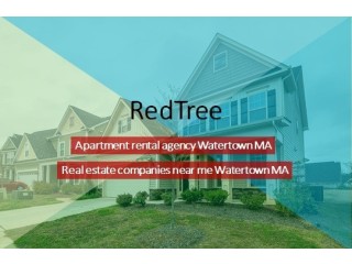 Pick a Conductive Condo On Rent Hiring an Apartment Rental Agency Watertown MA
