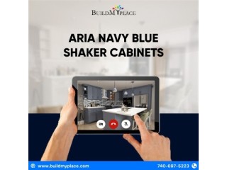 "Elevate Your Kitchen: Aria Navy Blue Shaker Cabinets in a 10x10 Layout"