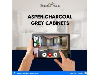 Small Space, Big Impact: Aspen Charcoal Grey Cabinets for Your 10x10 Kitchen Layout