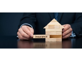 Expert Assistance with Insurance Claims: Navigating the Process