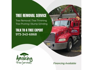 Tree Removal Service in NJ