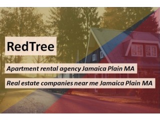 Choose a Sky-high Complex Hiring a Reputed Apartment Rental Agency Jamaica Plain MA