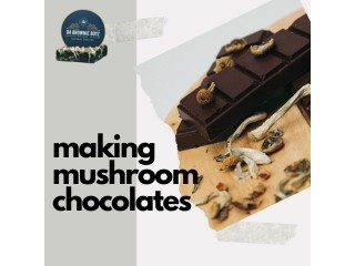 Indulge in Delicious Delights: Making Shroom Chocolates