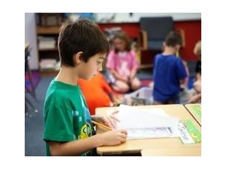 Discovering the Ideal Schools in Fort Collins Colorado