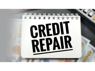 Build Business Credit with Reliant Credit Repair