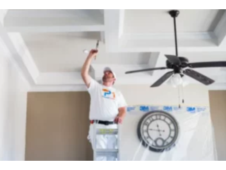 Local House Painters | Painter1