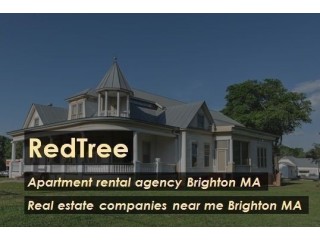 In need of a top-notch Apartment Rental Agency Brighton, MA
