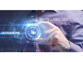 Boost Client Success White Label SEO Solutions for Agencies