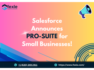 Salesforce Announces Pro Suite