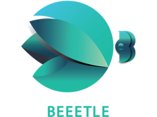 Best SEO and Web Design Company | Beeetle