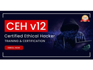 Ethical Hacker Certification Online Training