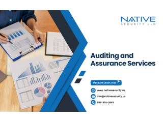 Effective Auditing and Assurance Services for Businesses