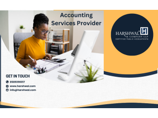 Accounting Services Provider for Small Businesses