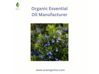 Organic Essential Oil Manufacturer