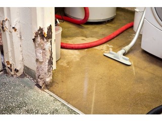 Emergency Water Heater Leak Cleanup in St. Charles!