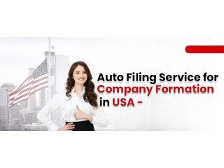 Auto Filing Assistance in Company Formation in USA