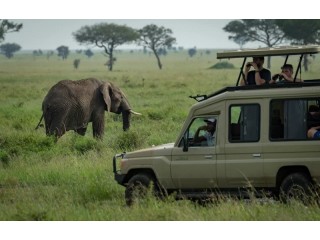 Find The Best tanzania safari tours and Holiday Packages