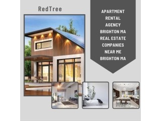 Choose a Beautiful and Spacious Home On Rent Hiring an Apartment Rental Agency Brighton MA