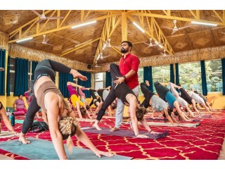 Yoga teacher training in thailand