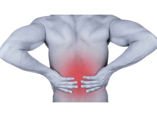 Discover the Effective Physical Therapy for Back Pain to Get Instant Relief