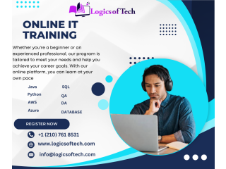 Online Software Training Company