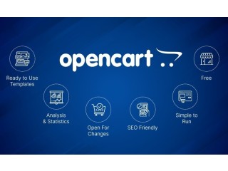 Professional OpenCart Website Development Services