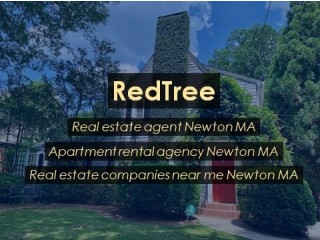Pick a Charming Home Nestled In a Quiet Place Hiring an Apartment Rental Agency Jamaica Newton MA