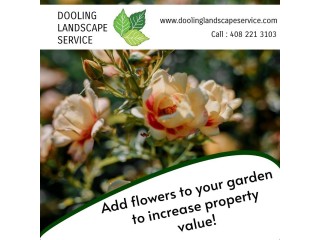 Add flowers to your garden to increase property value