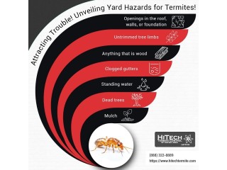 Attracting Trouble! Unveiling Yard Hazards for Termites!
