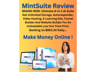MintSuite- Banking Us $953.34 Daily…