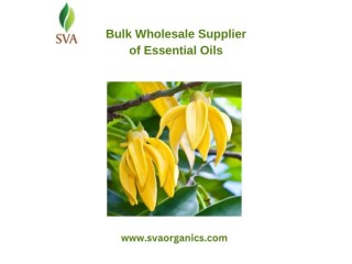 Bulk Wholesale Supplier of Essential Oils