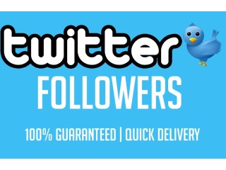 Buy 500 Twitter Followers – Active & Fast Delivery