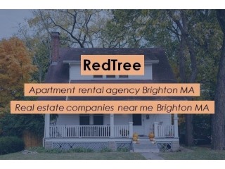 Apartment With 2 Bedroom, 1 Bath Left Style Hiring an Apartment Rental Agency Brighton MA