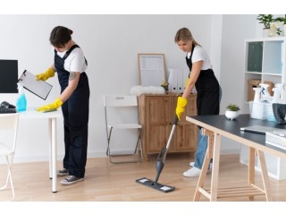 Spotless Solutions: Your Premier Cleaning Company in Norwell